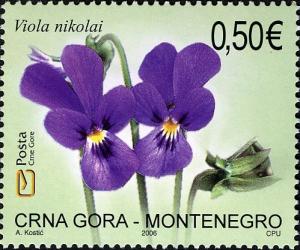 Colnect-3952-921-Nikolai-Violet-Viola-Nikolai.jpg
