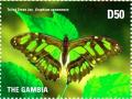 Colnect-3524-986-Tailed-Jay-Graphium-agamemnon.jpg