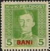 Colnect-3004-222-Emperor-Karl-I-overprinted-BANI.jpg