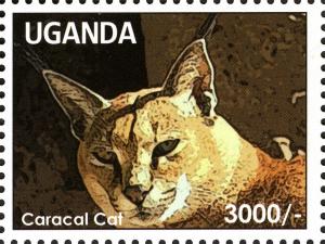 Colnect-3053-180-Carakal-Caracal-caracal.jpg