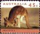Colnect-724-448-Eastern-Grey-Kangaroo-Macropus-giganteus.jpg