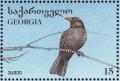 Colnect-1104-868-Blackbird-turdus-merula.jpg