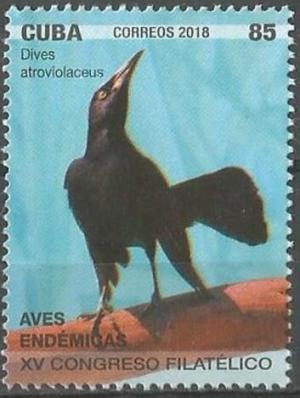 Colnect-5448-253-Cuban-Blackbird-Dives-atroviolaceus.jpg