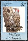Colnect-1859-766-Yellow-shafted-Flicker-Colaptes-auratus---Overprinted.jpg