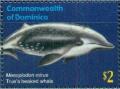 Colnect-3292-876-True%C2%B4s-Beaked-Whale-Mesoplodon-mirus.jpg