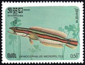 Colnect-1401-935-Giant-Snakehead-Channa-micropeltes.jpg