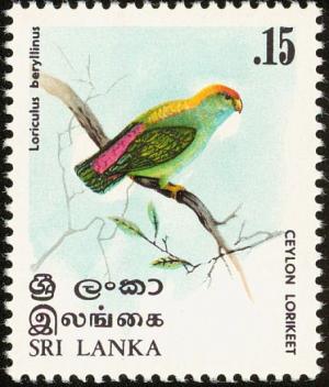 Colnect-862-143-Ceylon-Lorikeet-Loriculus-beryllinus.jpg