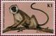 Colnect-1699-170-Vervet-Monkey-Cercopithecus-aethiops.jpg