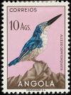 Colnect-1762-548-Half-collared-Kingfisher-Alcedo-semitorquata.jpg
