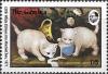 Colnect-4829-145-Little-white-kittens-into-Mischief-by-Ives.jpg