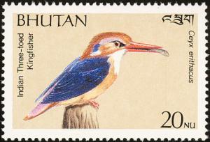 Colnect-1720-389-Oriental-Dwarf-Kingfisher-Ceyx-erithacus-nbsp-.jpg