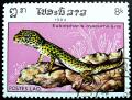 Colnect-2759-934-Leopard-Gecko-Eublepharis-macumiliaris.jpg