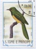 Colnect-953-758-Sao-Tome-Emerald-Cuckoo-Chrysococcyx-cupreus-insularum.jpg