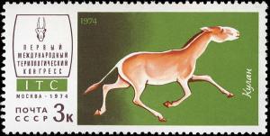 Colnect-1019-898-Turkmenian-Kulan-Equus-hemionus-kulan.jpg