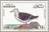 Colnect-1463-923-Lesser-Black-Backed-Gull-Larus-fuscus.jpg
