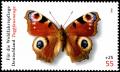 Colnect-5200-206-Peacock-Butterfly-Inachis-io.jpg