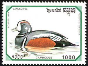 Colnect-1526-982-Harlequin-Duck%C2%A0Histrionicus-histrionicus.jpg