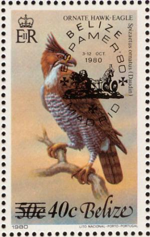Colnect-1594-400-Ornate-Hawk-eagle-Spizaetus-ornatus.jpg