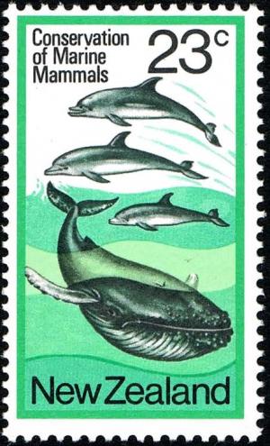 Colnect-2481-223-Dolphin-Humpback-Whale-Megaptera-novaeangliae.jpg