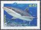 Colnect-405-515-Gray-Reef-Shark-Carcharhinus-amblyrhynchos.jpg