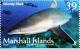 Colnect-6004-516-Silvertip-Shark-Carcharhinus-albimarginatus.jpg