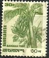 Colnect-3221-042-Banana-Plant-Musa-x-paradisiaca.jpg
