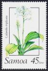 Colnect-3637-781-Calanthe-triplicata.jpg