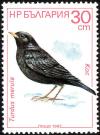 Colnect-732-697-Common-Blackbird-Turdus-merula.jpg