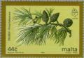 Colnect-131-198-Pinus-halapensis---Aleppo-Pine.jpg