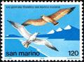 Colnect-1419-108-Slender-billed-Gull-Larus-genei-Common-Kestrel-Falco-tin.jpg