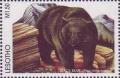 Colnect-1736-215-American-Black-Bear-Ursus-americanus.jpg
