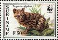 Colnect-4994-985-Oncilla-Leopardus-tigrinus.jpg