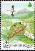 Colnect-574-231-European-Tree-Frog-Hyla-arborea-White-Stork-Ciconia-cico.jpg