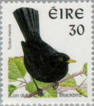 Colnect-129-468-Common-Blackbird-Turdus-merula.jpg