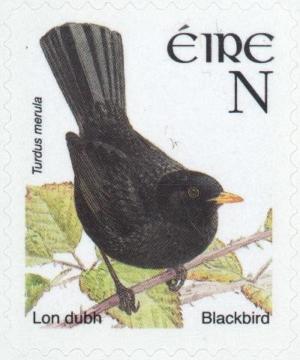 Colnect-129-869-Common-Blackbird-Turdus-merula.jpg