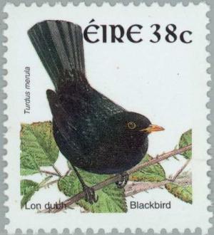 Colnect-129-891-Common-Blackbird-Turdus-merula.jpg