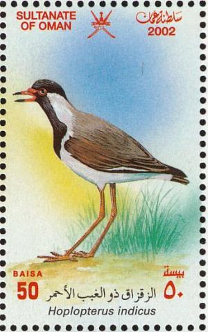 Colnect-1464-142-Red-wattled-Lapwing-Vanellus-indicus%C2%A0%C2%A0.jpg