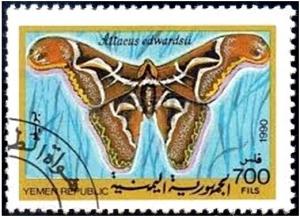Colnect-1939-410-Edward-s-Atlas-Moth-Attacus-edwardsii.jpg