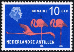 Colnect-2208-175-Flamingoes-Bonaire.jpg