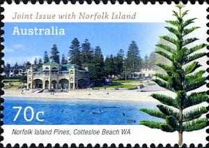 Colnect-2261-251-Norfolk-Island-pines-Cottesloe-Beach.jpg