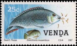 Colnect-2840-138-Mozambique-Tilapia-Oreochromis-mossambicus.jpg