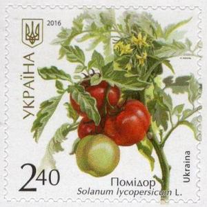 Colnect-3639-544-Solanum-lycopersicum.jpg