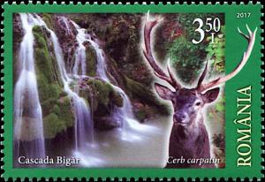 Colnect-5103-673-Red-Deer-Cervus-elaphus--Big%C4%83r-Waterfall-Bozovici.jpg