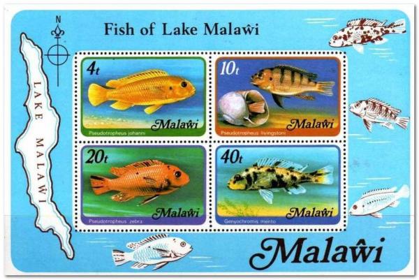 Colnect-1733-734-Lake-Malawi-Fish---MiNo-285-88.jpg