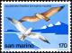 Colnect-1419-109-Slender-billed-Gull-Larus-genei-Common-Kestrel-Falco-tin.jpg