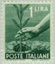 Colnect-168-274-Hand-planting-an-olive-tree.jpg