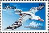Colnect-3505-633-Wandering-Albatross%C2%A0Diomedea-exulans.jpg