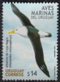 Colnect-1761-423-Black-browed-Albatross-Diomedea-melanophrys.jpg