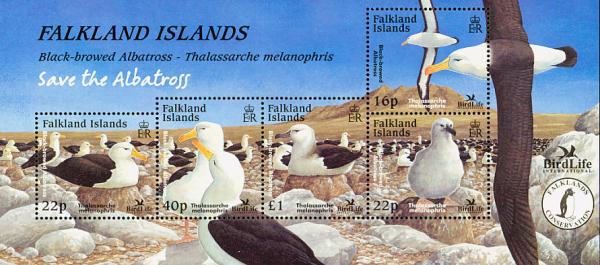 Colnect-1674-636-Black-browed-Albatross-Diomedea-melanophris.jpg