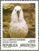 Colnect-1632-419-Black-browed-Albatross-Diomedea-melanophris.jpg
